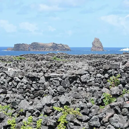 Barca 2* Madalena (Azores)