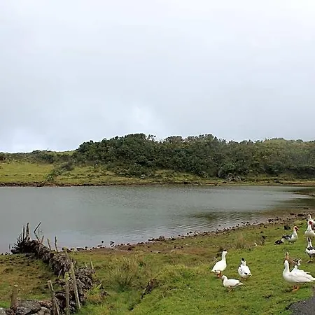 Barca Hotel Madalena (Azores)
