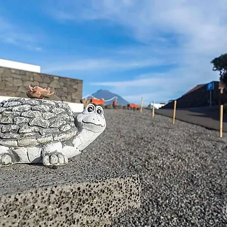 Barca Hotel Madalena (Azores)