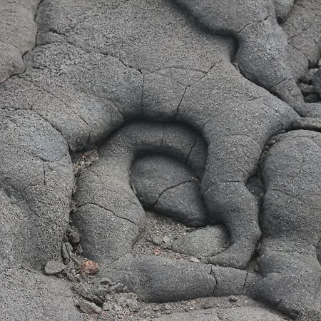 호텔 Barca 마달레나