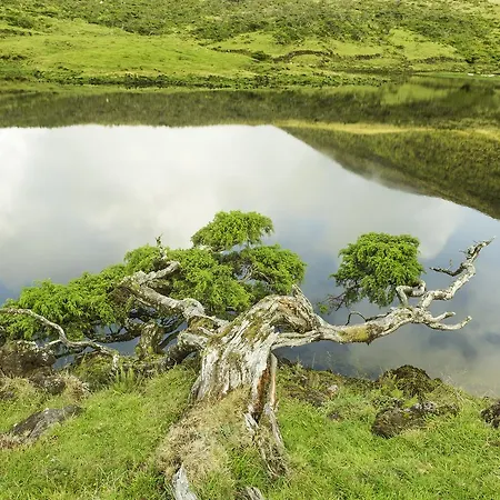 Hotel Barca Madalena (Azores)
