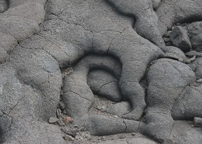 ホテル Barca マダレナ