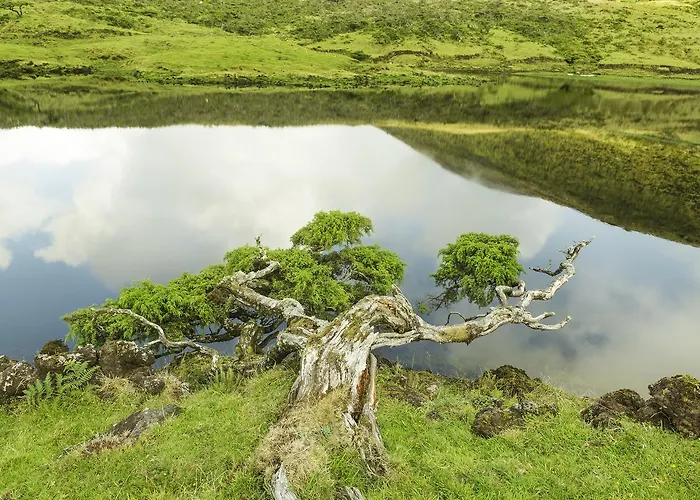 ホテル Barca マダレナ